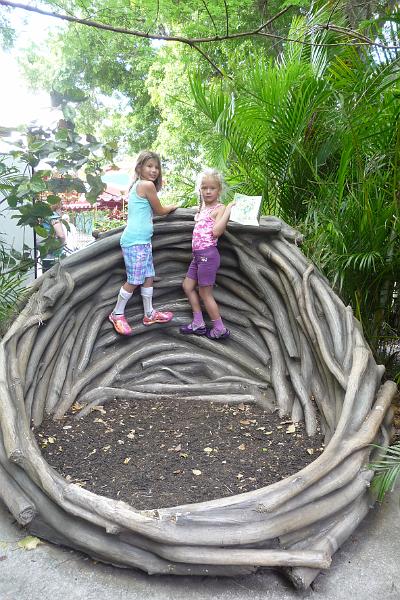 p1040322.jpg